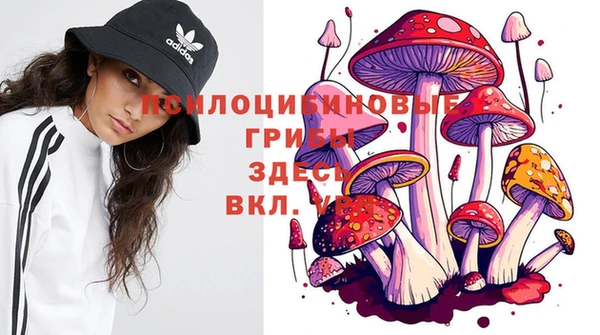 прущие грибы Слюдянка