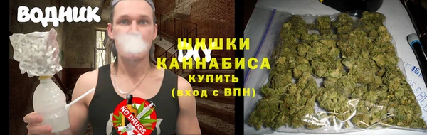 амф Снежногорск